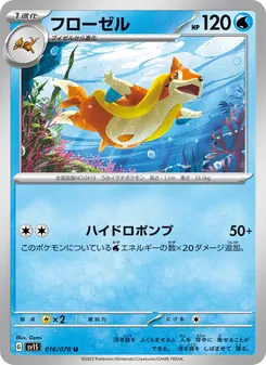 浮潛鼬