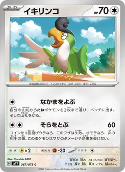 怒鸚哥