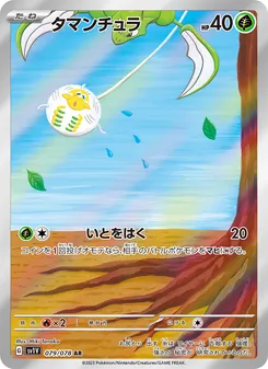 團珠蛛