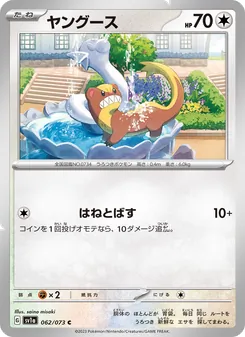 貓鼬少