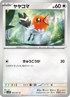 小箭雀