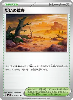 災禍荒野