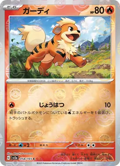 護主犬