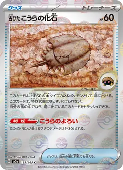 陳舊的甲殼化石