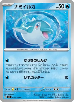 波普海豚