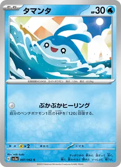 小球飛魚