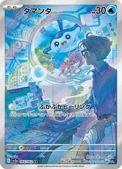 小球飛魚