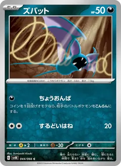 波音蝠