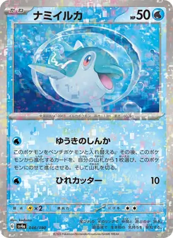 波普海豚