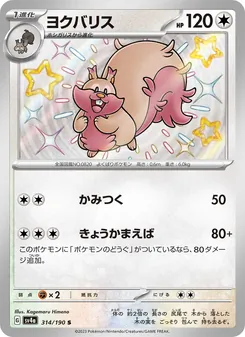 藏飽栗鼠
