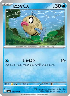 笨笨魚