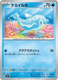 波普海豚