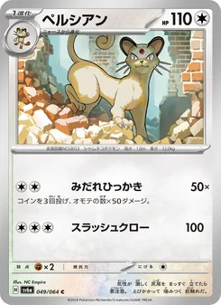 高竇貓
