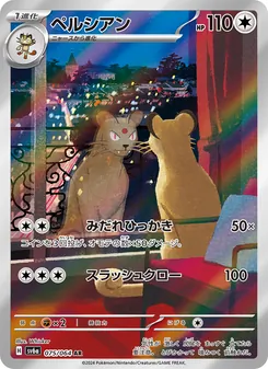 高竇貓