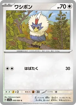 毛頭小鷹