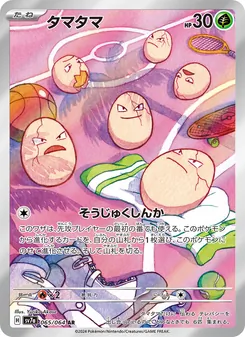 蛋蛋