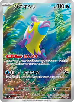 磨牙彩皮魚