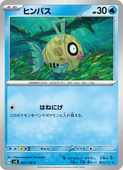 笨笨魚