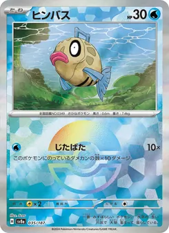 笨笨魚