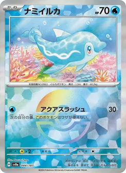 波普海豚
