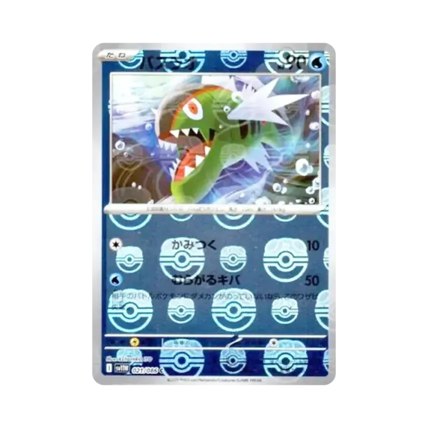 勇士鱸魚