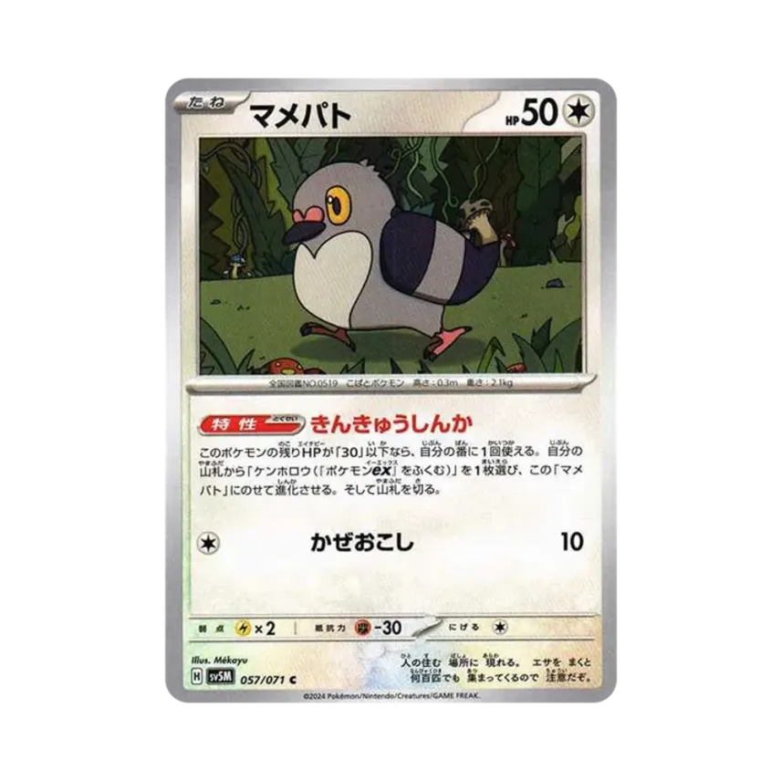 豆豆鴿