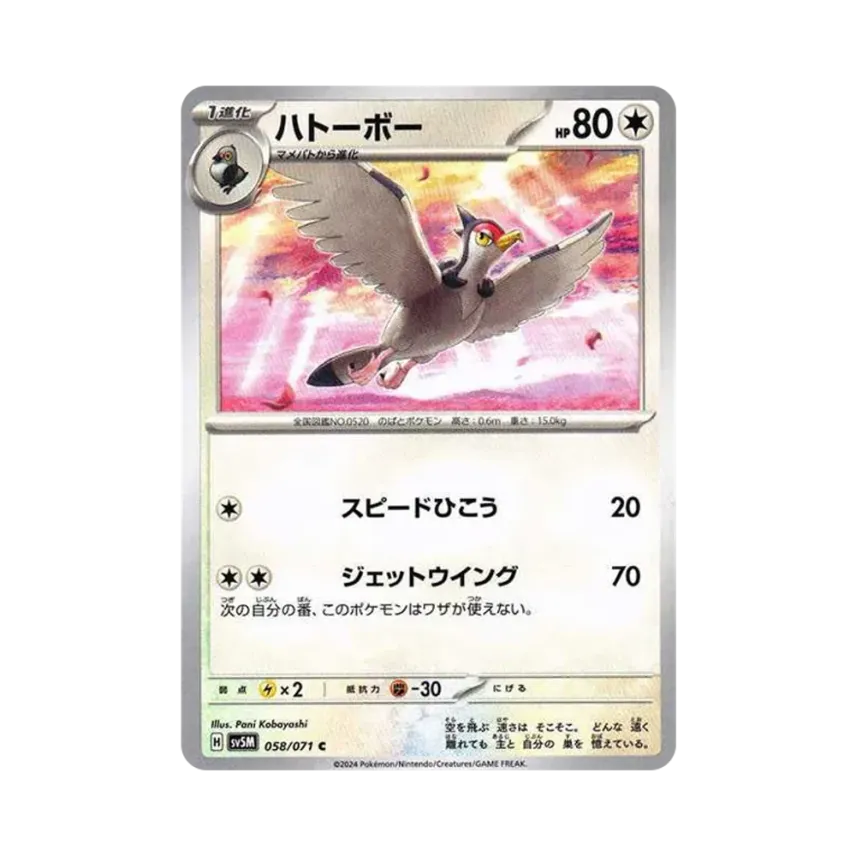 波波鴿