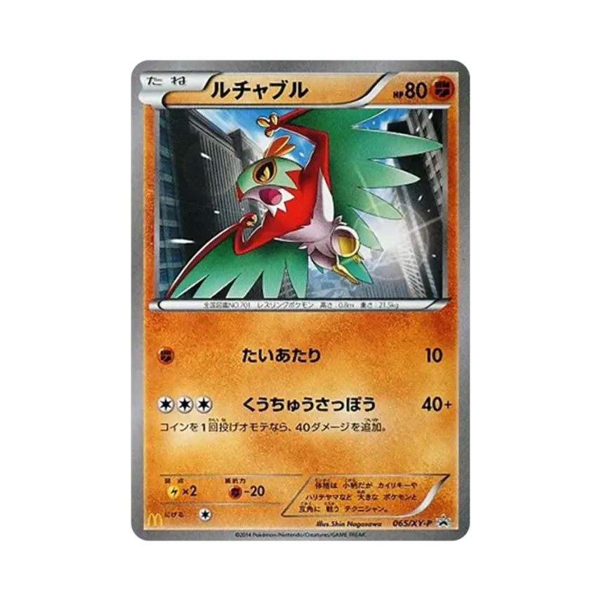 戰鬥飛鳥