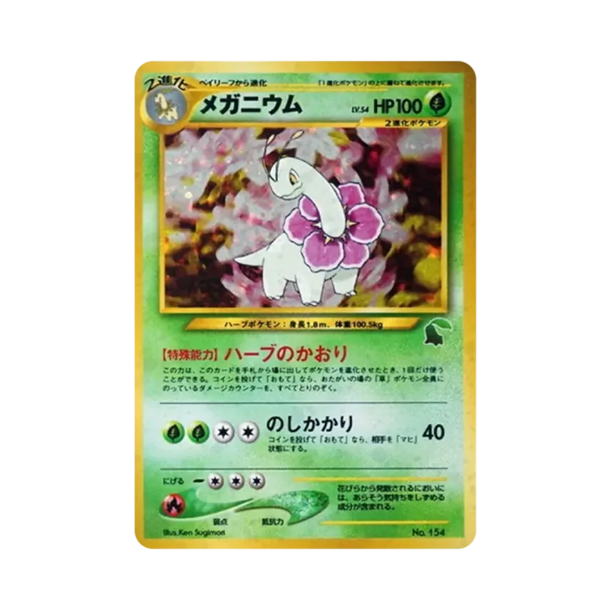 大菊花 イントロパック