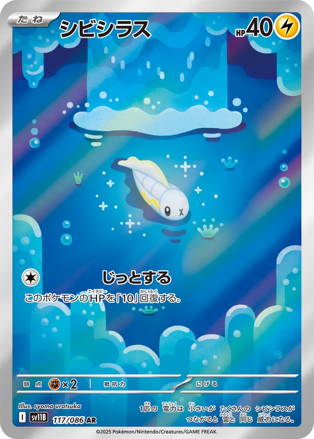 麻麻小魚