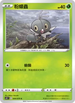 粉蛹