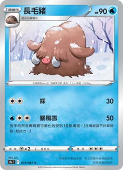 長毛豬